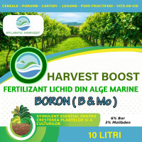 Harvest Boost Boron (6% Bor + 3% Molibden)